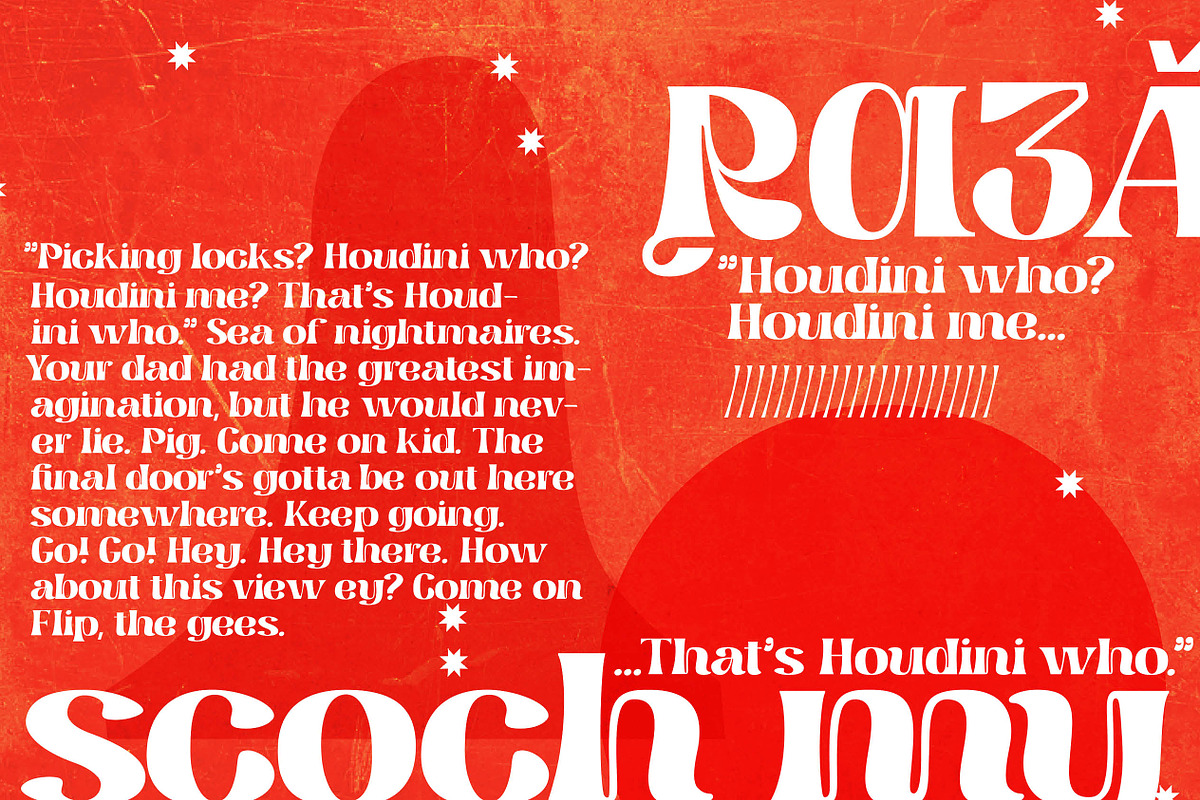 Sebaj, a Serif Font by Kisboszorka (Photo 8 of 19)