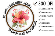 Whimsical Spring Hibiscus Flowers, an Illustration by Craft Nest (Thumbnail 2 of 11)