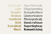 Fancyou Fonts Family, a Serif Font by Asenbayu (Thumbnail 11 of 15)