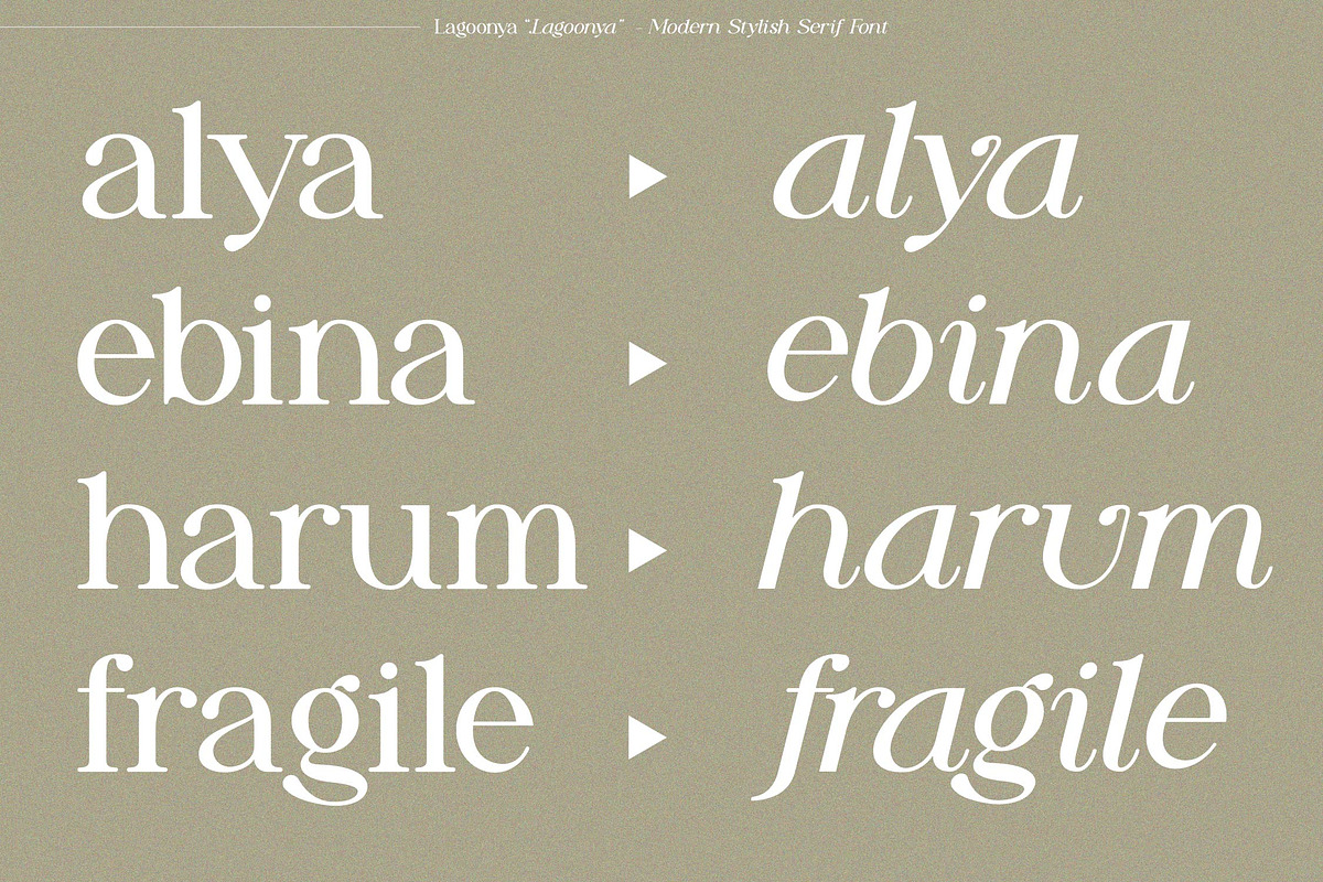 Lagoonya | Modern Stylish Serif, a Serif Font by gracetype_studio (Photo 2 of 13)
