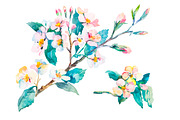 Watercolor Sphynx Cats Set, an Illustration by Elizaveta (Thumbnail 5 of 5)