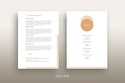 CV / Resume template for MS Word, a Resume Template by Mellene Templates (Thumbnail 2 of 3)