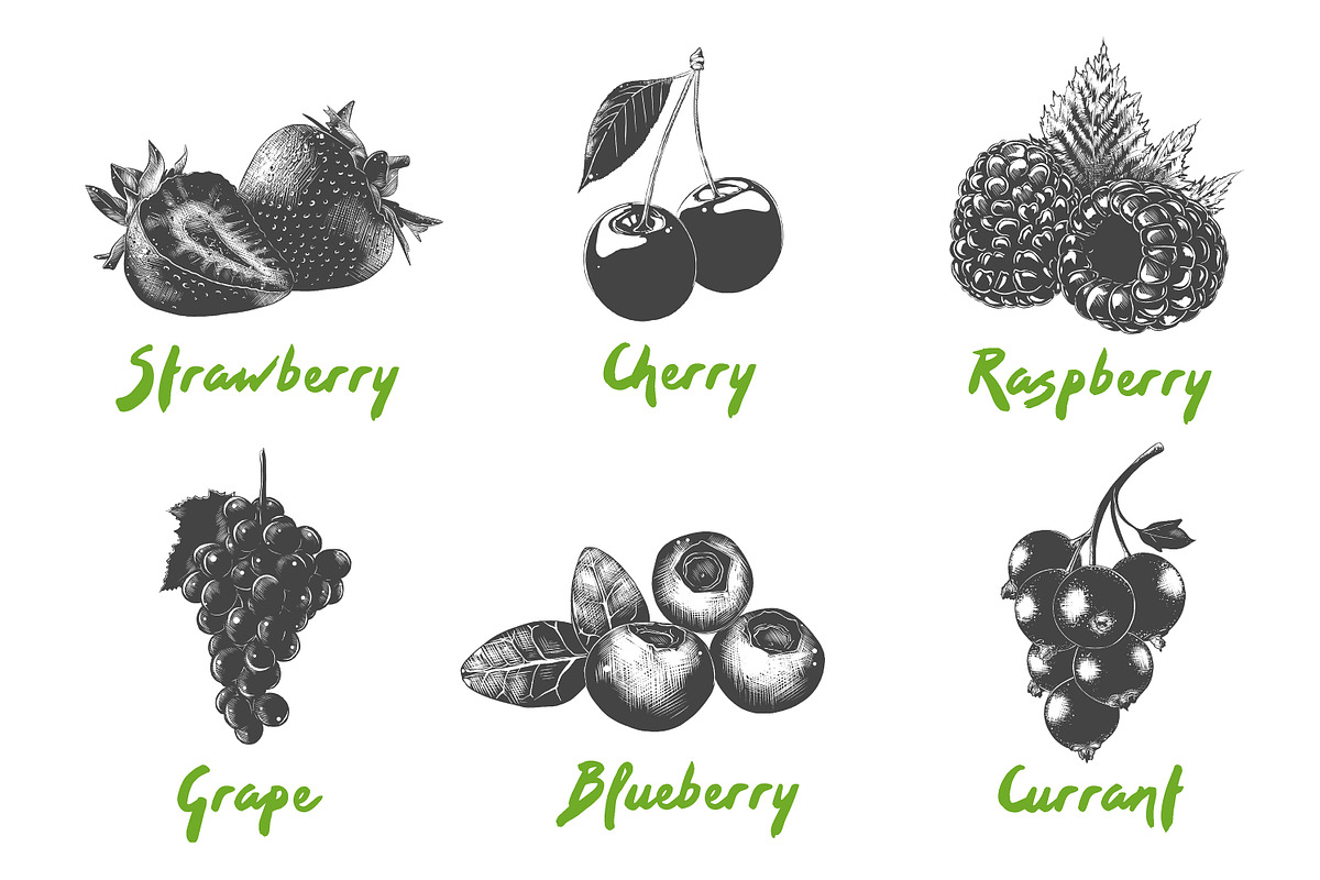 Set of 42 healthy food objects, a Decorative Illustration by Akimo Mia (Photo 8 of 9)