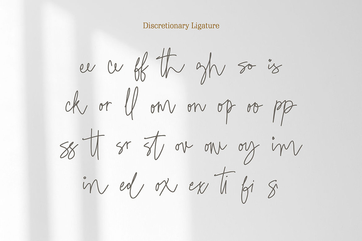 Ursie Bellove - Monoline Signature, a Handwritten Font by tebaltipislab (Photo 10 of 10)