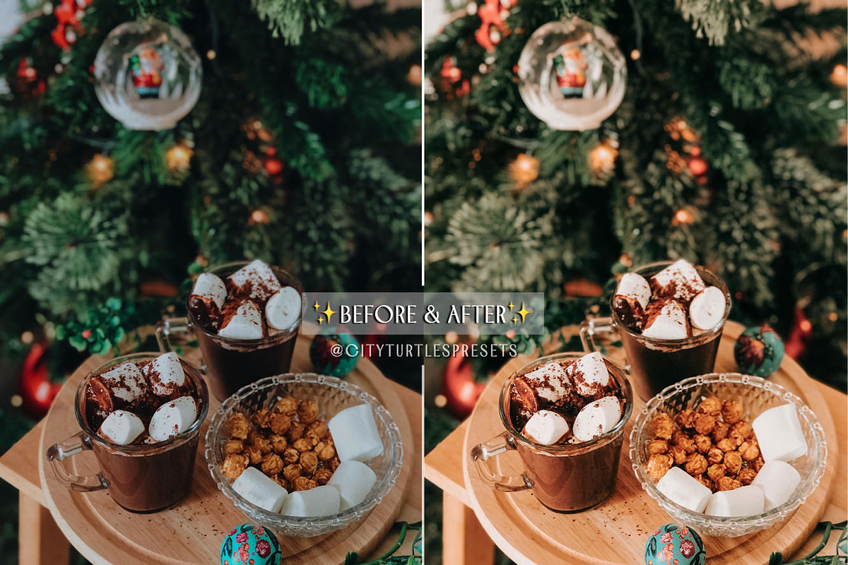 Natural Winter Magic LR Presets, an Action Add-On by CityTurtles (Photo 5 of 10)