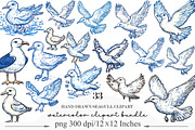 Hand Drawn Seagull Clipart PNG, an Illustration by Designking (Thumbnail 1 of 4)