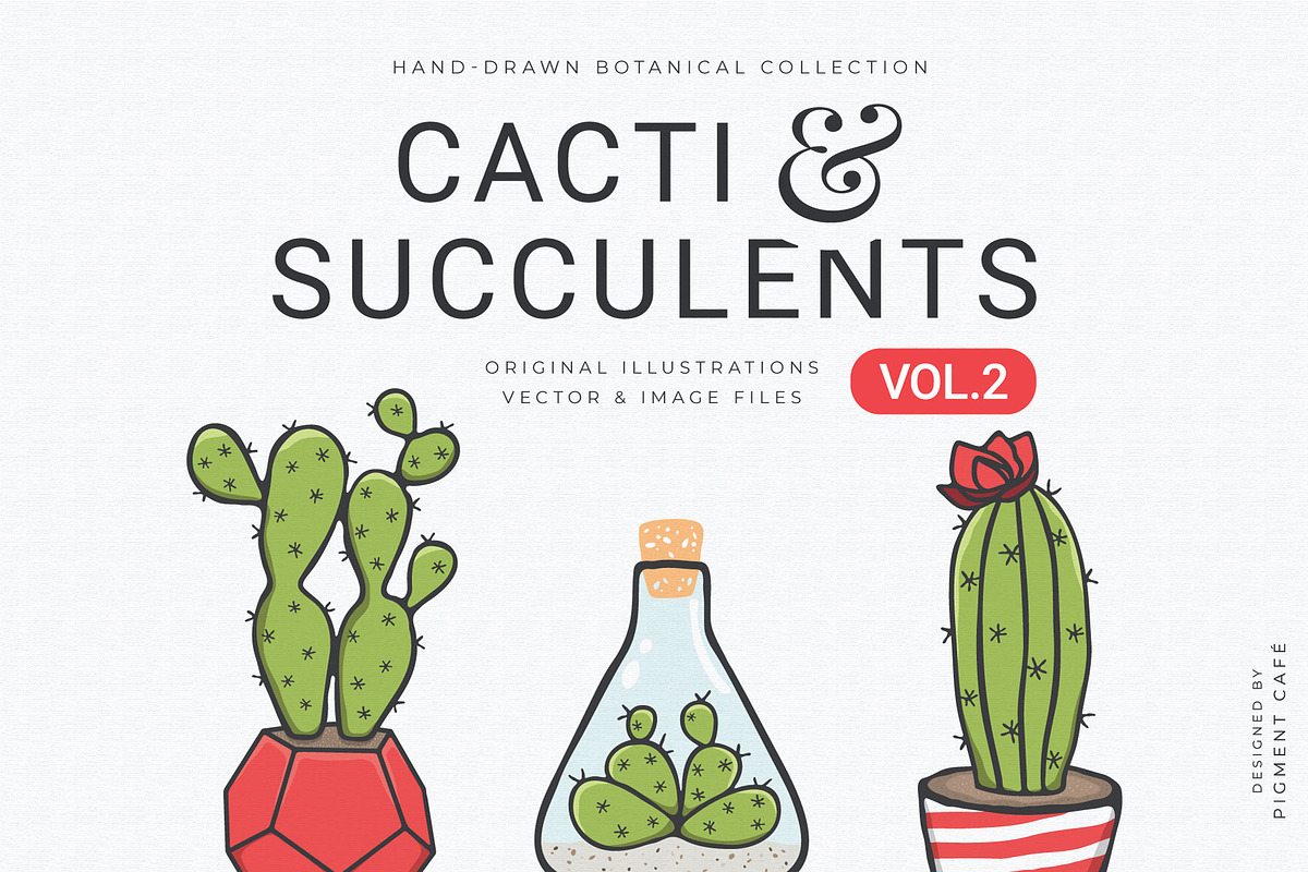 Cacti & Succulents Graphics Bundle 2, a Decorative Illustration by Pigment Café (Photo 1 of 8)