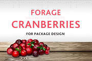 Cranberries, a Mockup by Hortimages (Thumbnail 1 of 3)