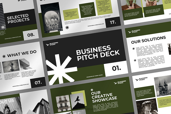 BlackBird - Business Pitch Deck preview 8