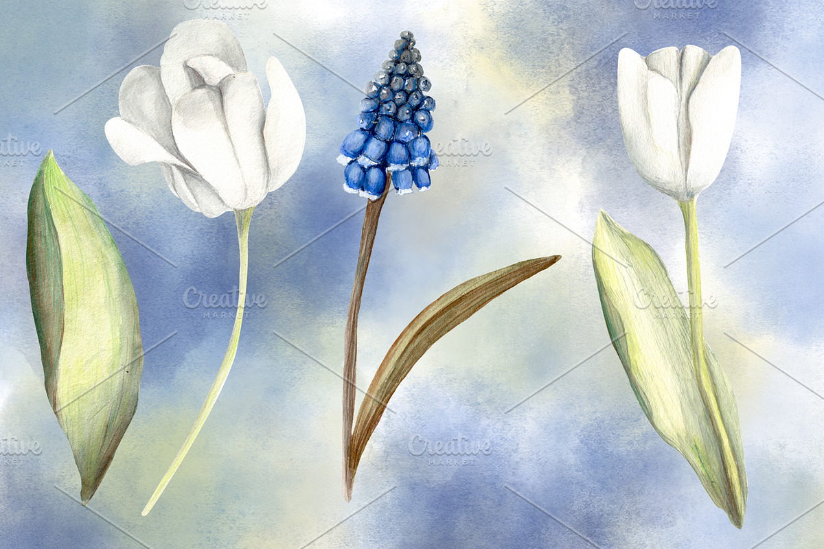 Spring Blossom Watercolor Flowers, an Illustration by Sha1nee (Photo 2 of 4)