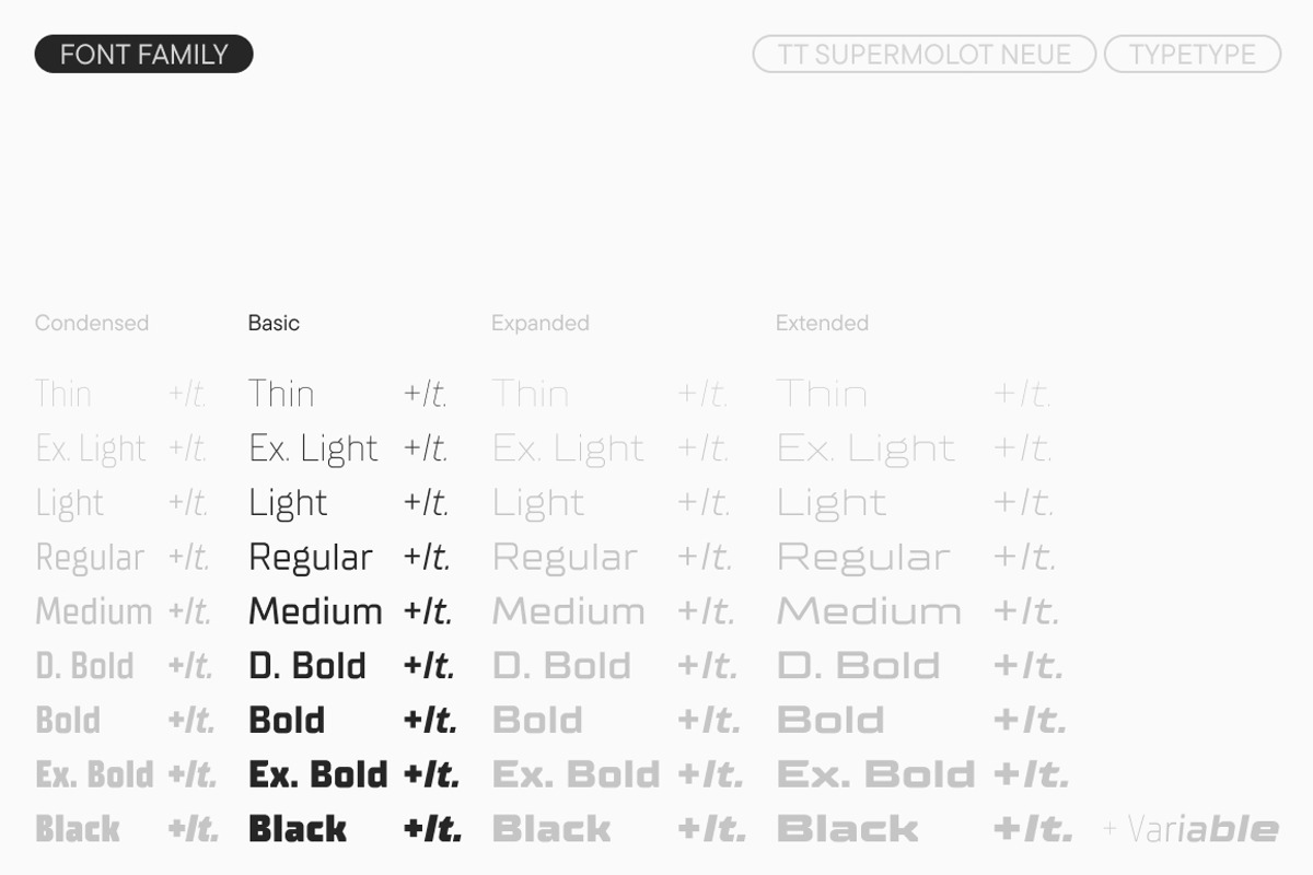 TT Supermolot Neue Basic, a Sans Serif Font by TypeType (Photo 4 of 15)