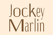 CS Anzelia Mix, a Sans Serif Font by Craft Supply Co. (Thumbnail 4 of 8)