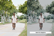 20 Demure Lightroom Presets and LUTs, a Preset Add-On by SparkleStock (Thumbnail 3 of 12)