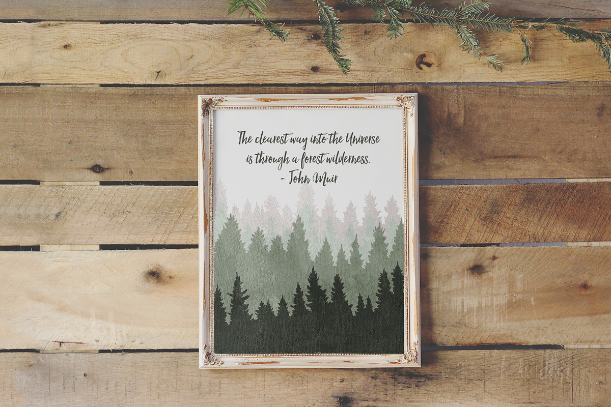 Northern Wilderness Collection: Tree, an Illustration by Barn Owl Studio (Photo 6 of 6)
