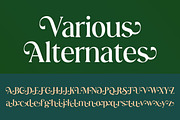 Abigeta 50% Discount, a Serif Font by Adam Azura (Thumbnail 12 of 14)