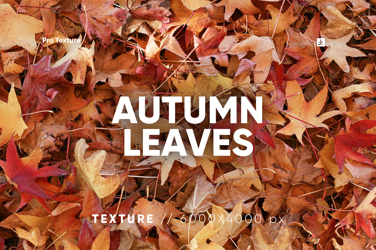 20 Autumn Leaves Texture, a Texture Graphic by CCPreset (Photo 1 of 3)
