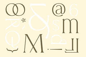 Allenia Serif - Modern Font