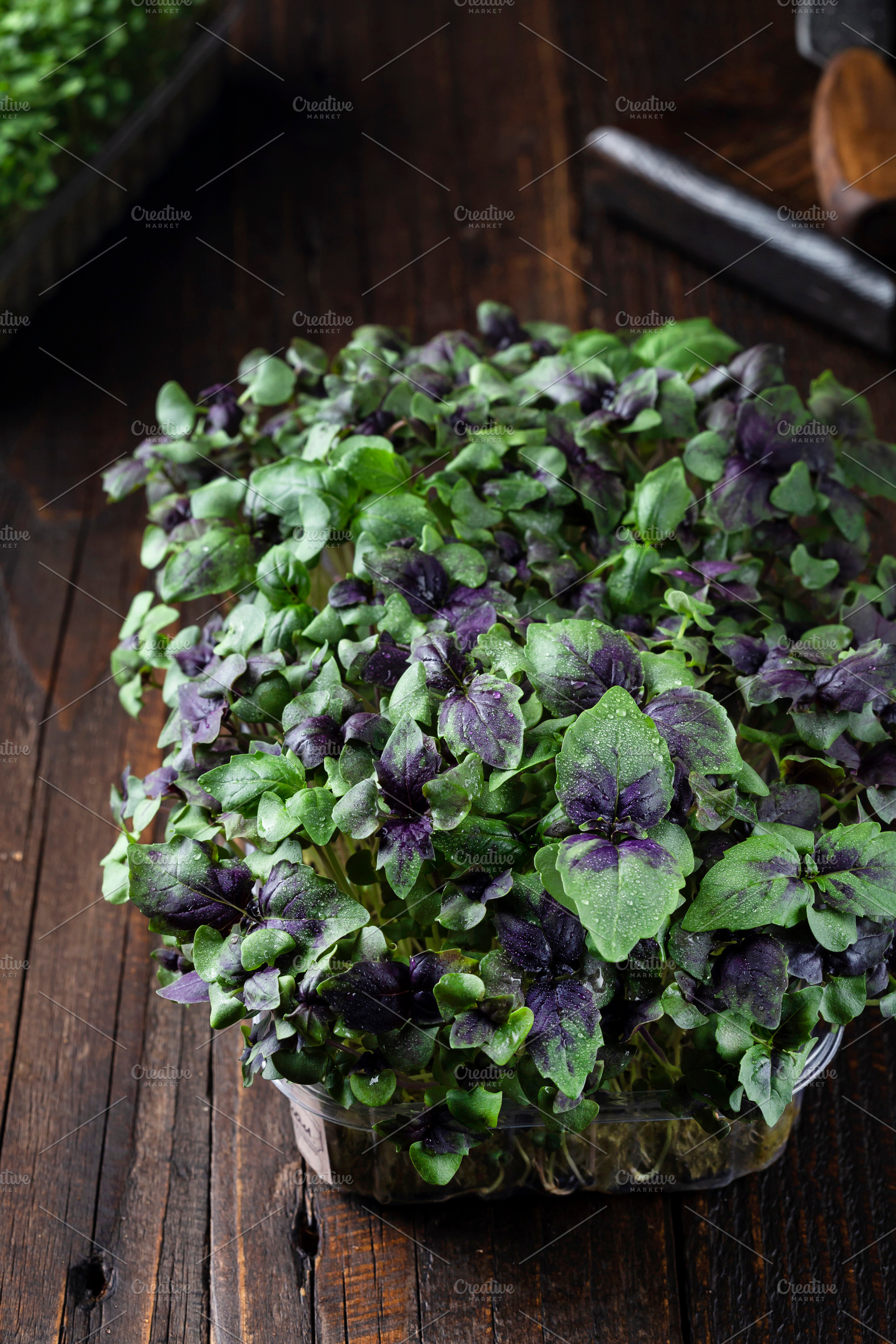 fresh different organic microgreens, a Food & Drink Photo by Marina_Pronina