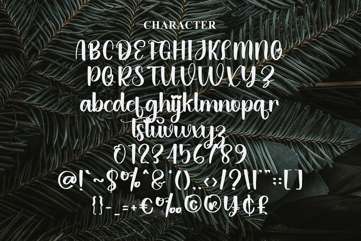 Christmas Font, a Script Font by Akrinity Digital (Photo 4 of 6)