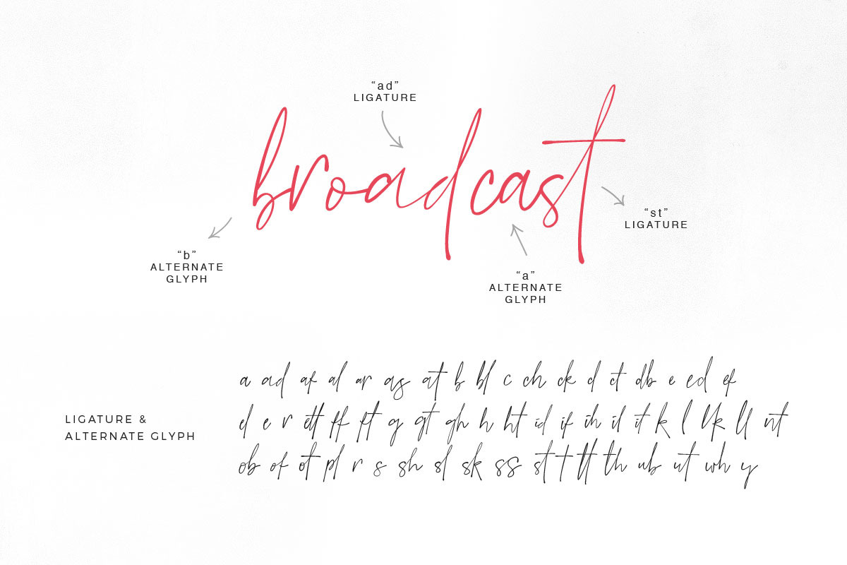 Muster Script preview 7