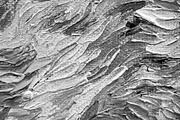 Oil Painting Textures, a Texture Graphic by UnicDesign (Thumbnail 12 of 15)