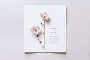 Pretty Wildflowers I Pressed Flowers, a Background Graphic by by creative paper (Thumbnail 5 of 14)