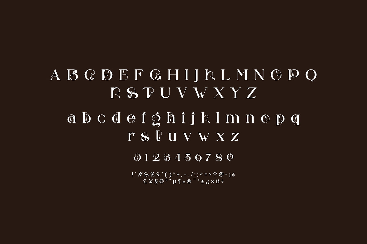 Bons Serif Typeface, a Serif Font by yaqublekker (Photo 9 of 9)