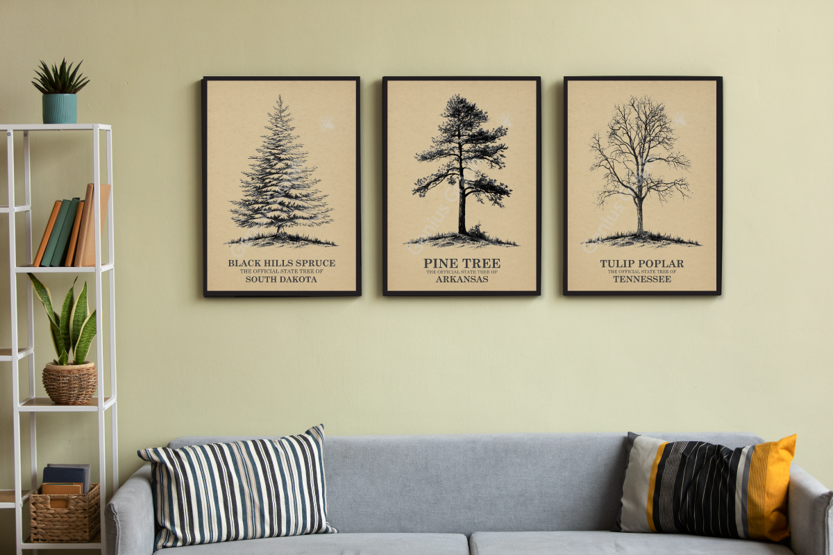 50 US State Tree Vintage Poster Set, a Decorative Illustration by Genius Graph (Photo 5 of 6)
