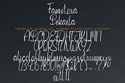 Famstera Bikaila, a Handwritten Font by HaKi Studio (Thumbnail 5 of 5)