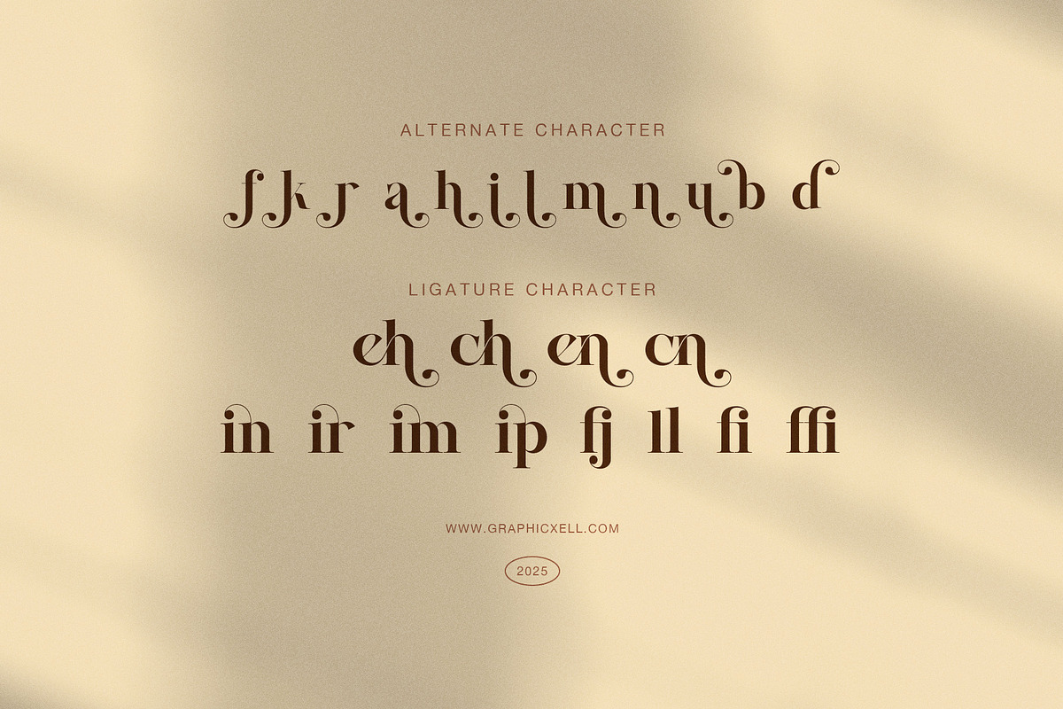 Mochin Elegant Serif Font, a Font by Graphicxell (Photo 8 of 8)