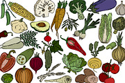 Vector vegetables, an Illustration by risovanya (Thumbnail 6 of 9)