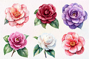 Camellia Flower Bloom Clipart, an Illustration by Dream Creation (Thumbnail 2 of 6)