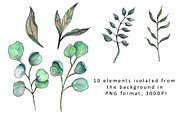 Peonies. Watercolor clipart, a Decorative Illustration by TetianaArt (Thumbnail 3 of 11)