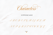 Claudya Script, a Script Font by Sikifonts (Thumbnail 10 of 11)