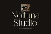 Roman Elegant Ligature Serif Font, a Serif Font by Graphicxell (Thumbnail 2 of 8)