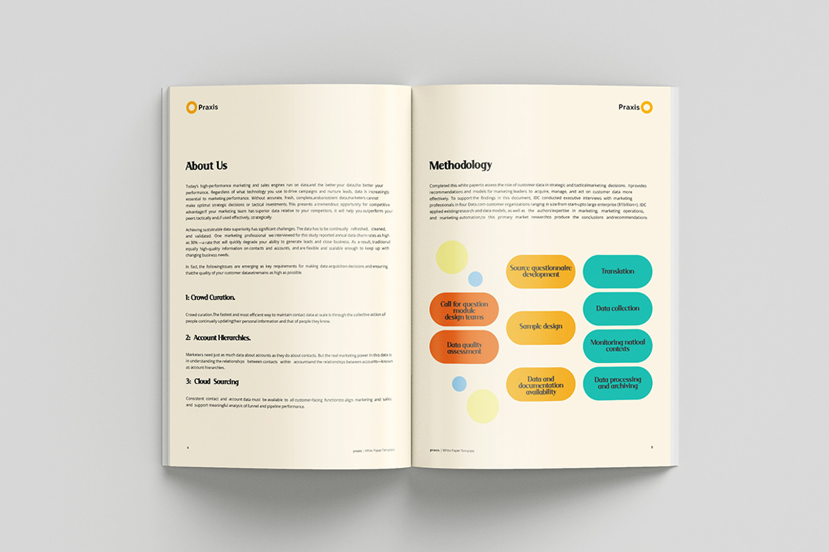 White Paper Template, a Brochure Template by azadcsstune (Photo 4 of 10)
