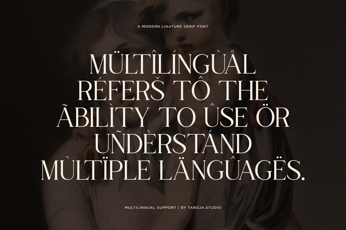 TBJ Amoun | Classy Modern Serif, a Serif Font by Taboja Studio (Photo 10 of 10)