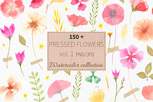 Pressed Flowers, an Illustration by mila_leev