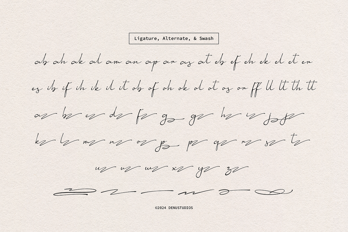 Aesallyn | Classic Signature Font, a Script Font by Denustudios (Photo 12 of 13)