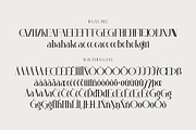 Hegelia, a Serif Font by Kenrichi (Thumbnail 5 of 10)