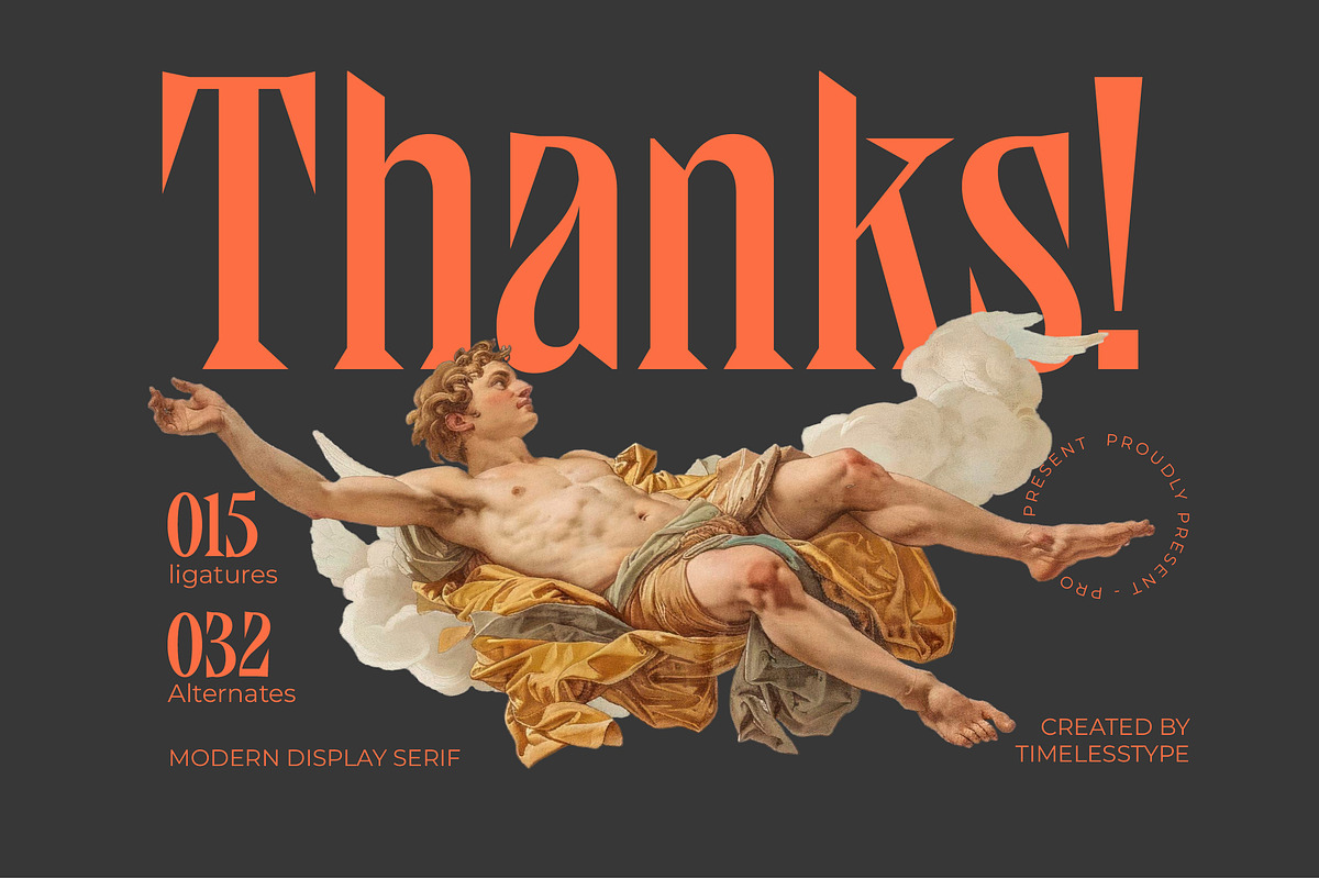 Qandera Modern Display Serif, a Serif Font by timelesstype.co (Photo 15 of 15)
