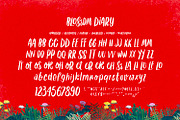 Blossom Diary-Chic Handwritten Font, a Handwritten Font by ikiiko (Thumbnail 6 of 7)