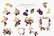 Watercolor Plum Bouquet Clipart, a Decorative Illustration by ThaismotaCreativeCo (Thumbnail 9 of 12)