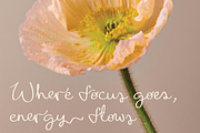 Monterey | Handwritten Script Font, a Handwritten Font by Monterey Studio (Thumbnail 2 of 15)