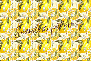 Lemon in botanical style, a Food Illustration by Ann Astro (Thumbnail 7 of 9)