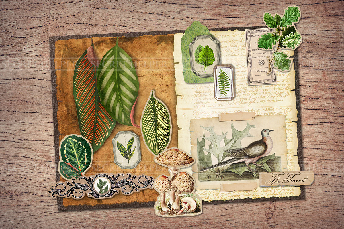 Forest Scrapbooking Kit, an Animal Illustration by Secret Helper (Photo 8 of 9)