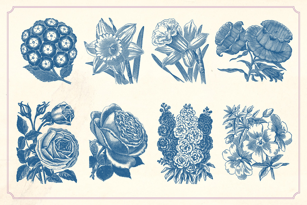 Vintage Flower Illustrations, a Decorative Illustration by Mr Vintage (Photo 3 of 13)