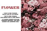 Clefont, a Serif Font by lelevien (Thumbnail 1 of 2)
