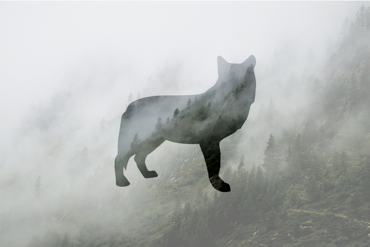 Wild Animals of North America, an Icon by Calvin Weibel (Photo 6 of 6)
