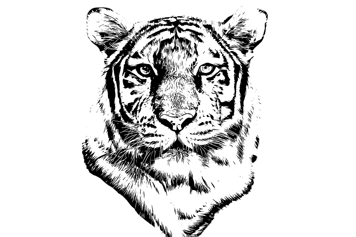 Vector Trace Photoshop Action, an Action Add-On by Studio Retouch (Photo 15 of 18)